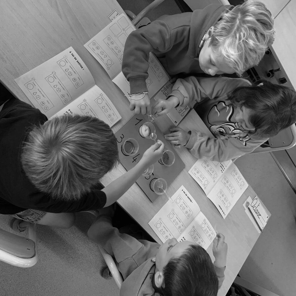 patrimoine en classe - carré - gris